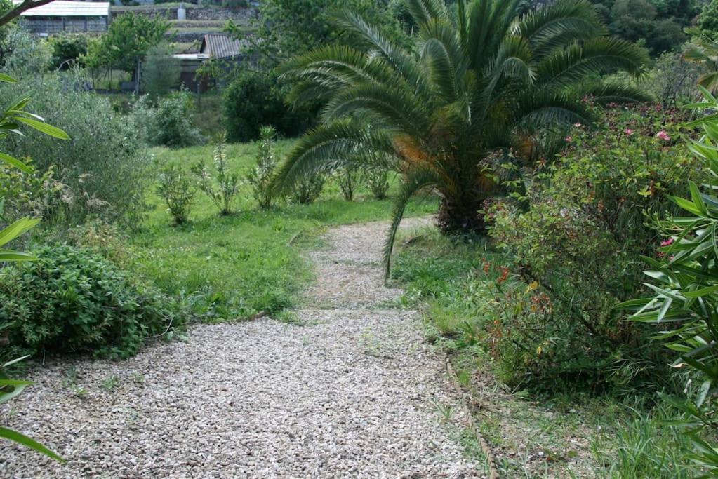 Constance 3 - Spacieux En Dernier Etage * Antibes